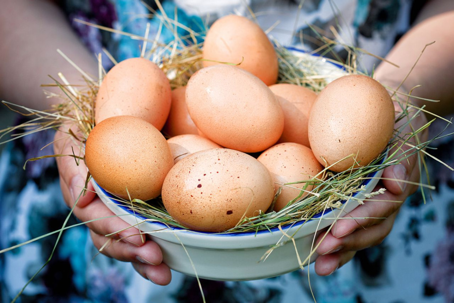 Минсельхоз РФ объяснил изменение цен на мясо птиц и яйца